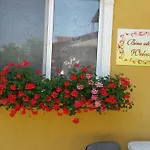 Delia Guest house 3*