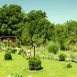 Delia Guest house Timisoara