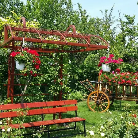 Delia Gardens بيت ضيافة 3*