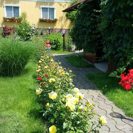 Delia Gardens Pensión Timisoara