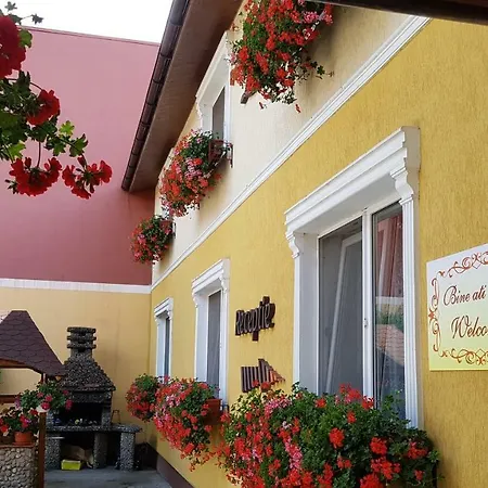 Delia Gardens 3* Timisoara