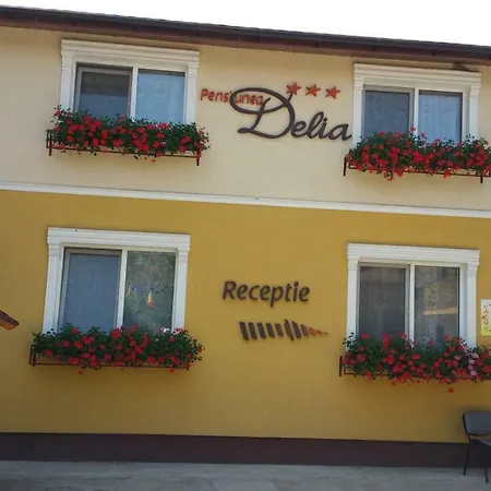 Delia Gardens Pensión Timisoara
