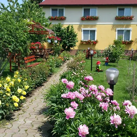Pensión Delia Gardens Timisoara
