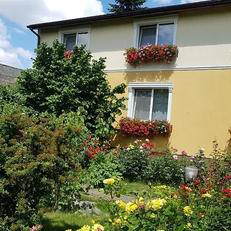 Delia Gardens Timisoara