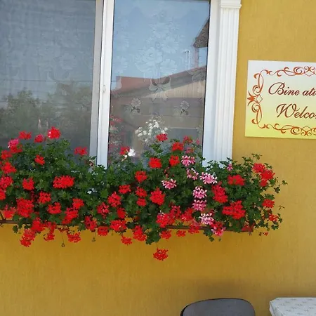 Pensiunea Delia Πανσιόν 3*