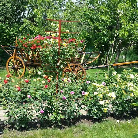 Delia Gardens Timisoara