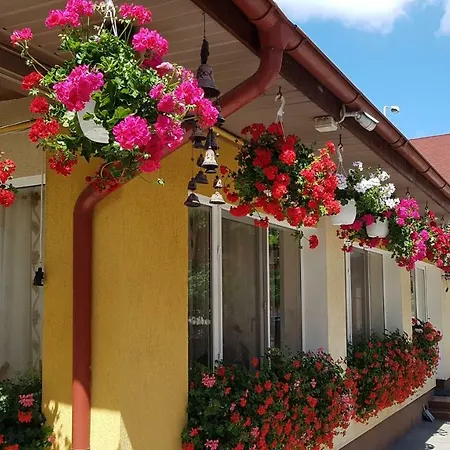 Delia Gardens Timisoara