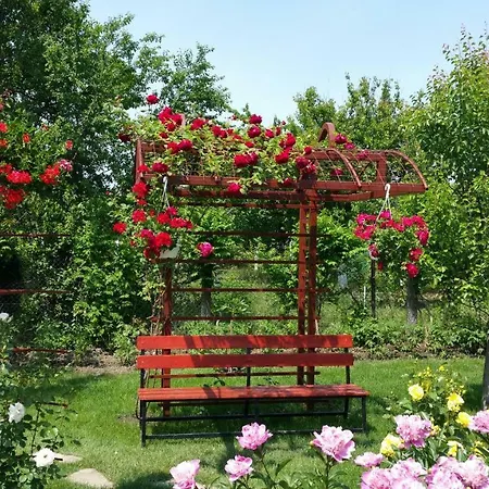 Delia Gardens بيت ضيافة 3*