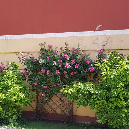 Pensión Delia Gardens 3*