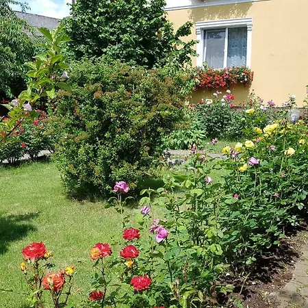 بيت ضيافة Delia Gardens تيميشورا