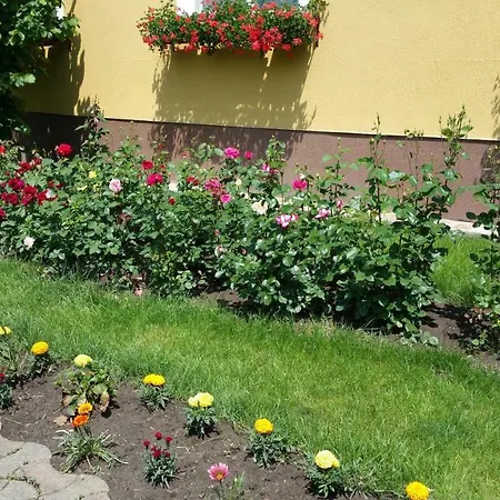 Delia Gardens بيت ضيافة تيميشورا