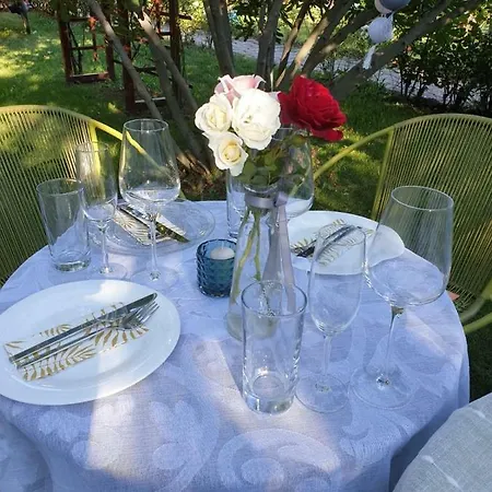 بيت ضيافة Delia Gardens تيميشورا