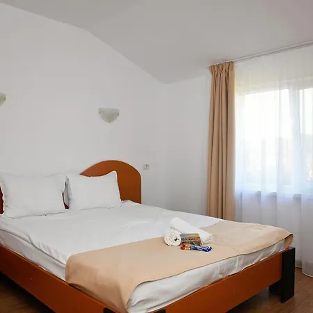 Delia Timisoara