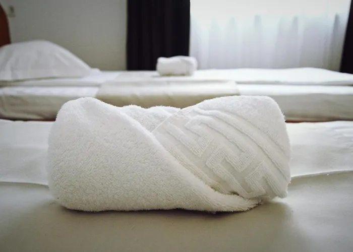 Affittacamere Delia Gardens Timisoara