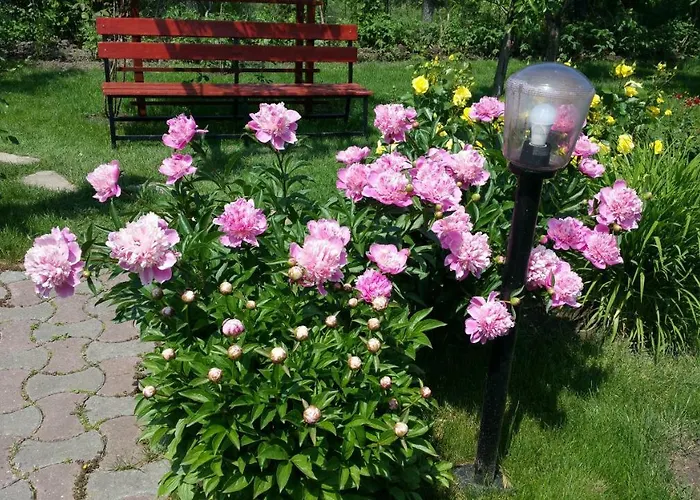 Affittacamere Delia Gardens 3*