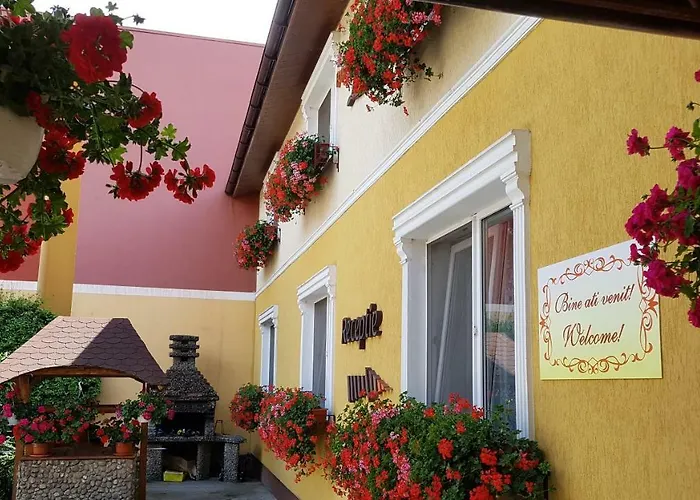 Delia Gardens 3* Timisoara