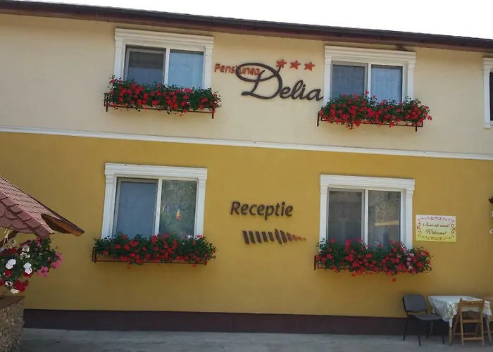 Delia Gardens Affittacamere Timisoara