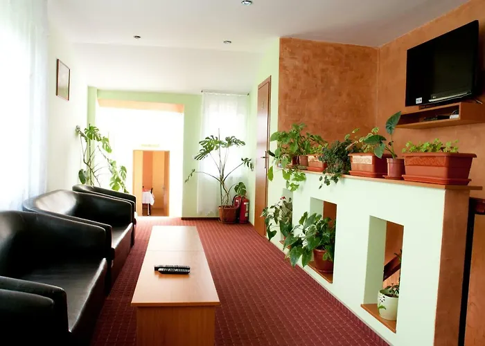 Affittacamere Delia Gardens Timisoara