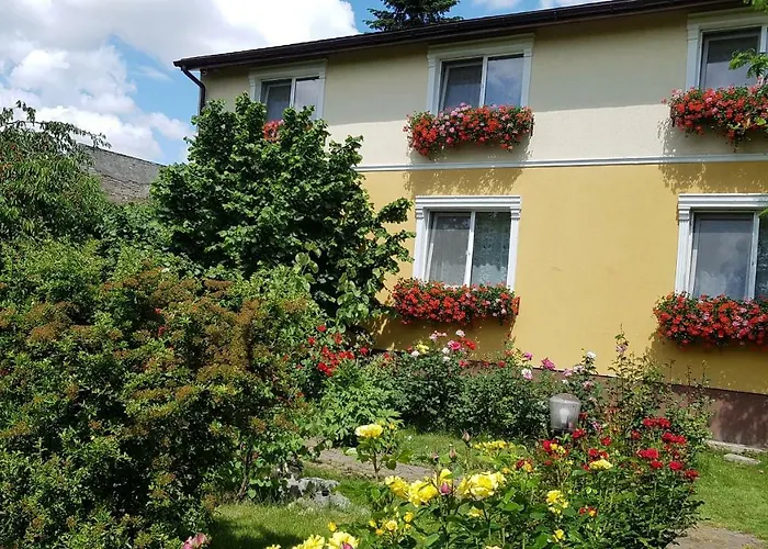 Delia Gardens Timisoara