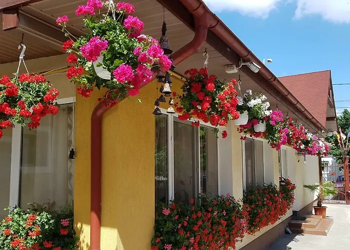 Delia Gardens Timisoara