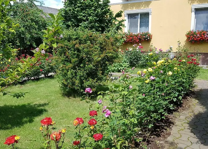 Affittacamere Delia Gardens Timisoara