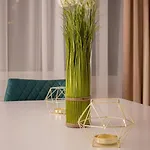 Delia Gardens Πανσιόν 3*