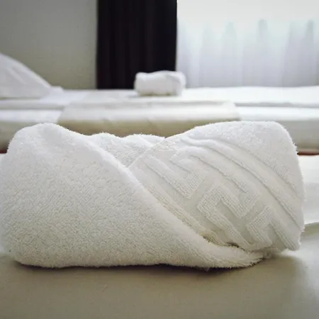 Guest house Delia Timisoara