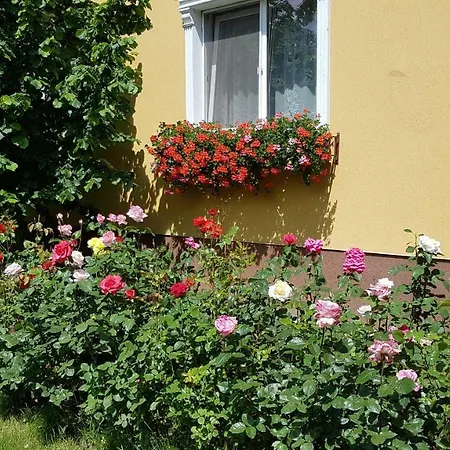 Guest house Delia 3*