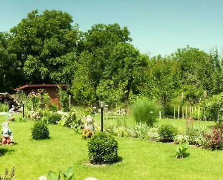 Delia Guest house Timisoara