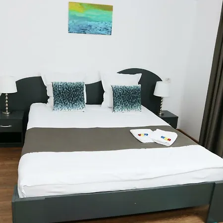 Guest house Delia Timisoara