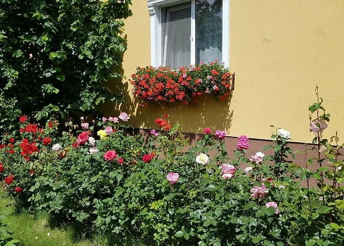 Pensionat Delia Gardens 3*