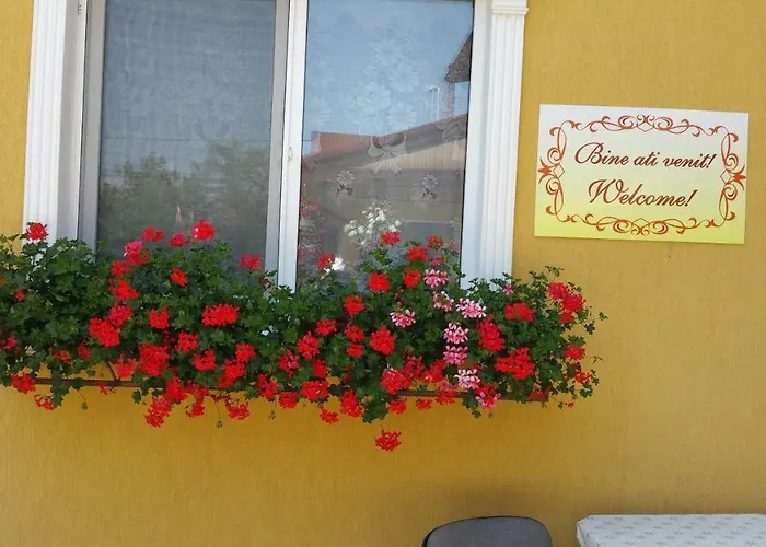 Delia Gardens Pensionat 3*