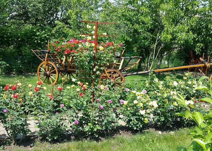 Delia Gardens Timişoara