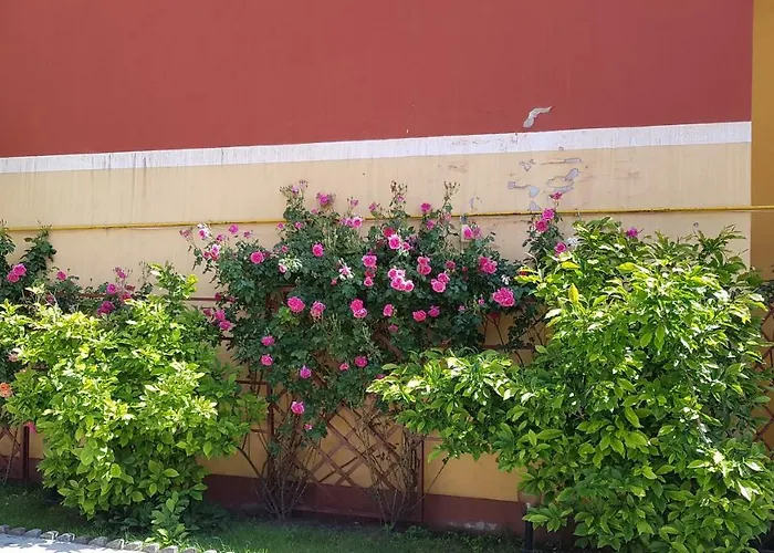 Pensionat Delia Gardens 3*