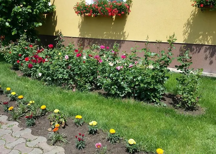 Delia Gardens Pensionat Timişoara