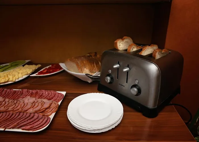 Pensionat Delia Gardens Timişoara